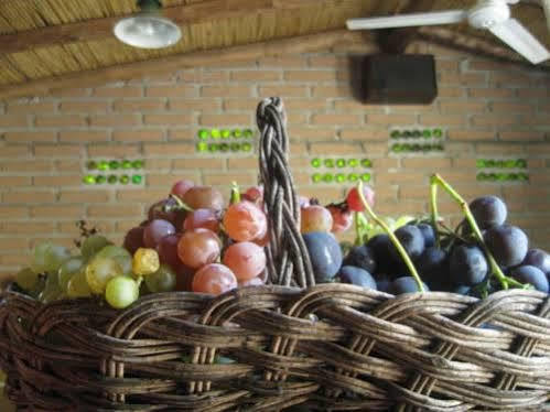 Casa Prana Estudio De Yoga 카파야테 외부 사진